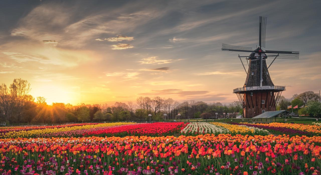 Holland, Michigan: Actividades al aire libre y encanto de una ciudad pequeña